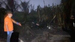 Satu Unit Rumah Kayu di Gampong Blang Oi Banda Aceh Terbakar, Dinas Sosial Lakukan Asesmen