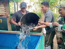 Satgas TMMD ke-129 Tebar Lele dan Isi Kandang Ayam Petelur di Lima Lokasi RTLH